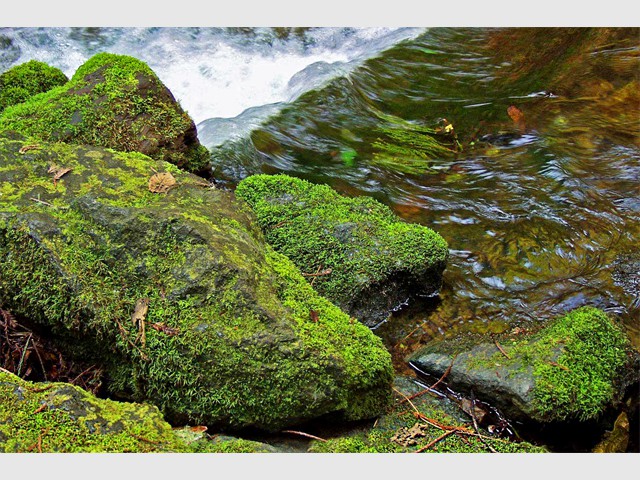 Rocks_and_Stream 5 C